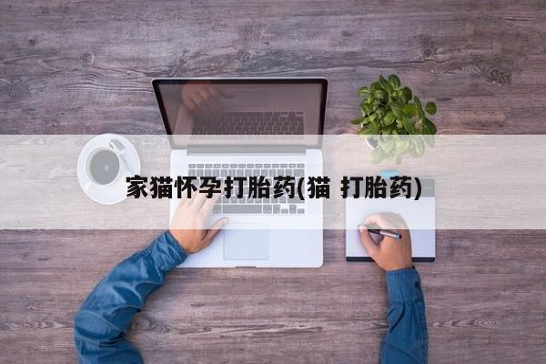 打胎药药店有卖家猫怀孕打胎药(猫 打胎药)